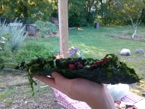 Dinosaur Kale + foraged berries + fresh salad + a touch of vinaigrette = big hit